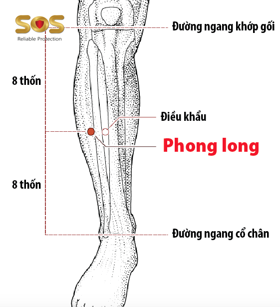 Huyệt Phong Long